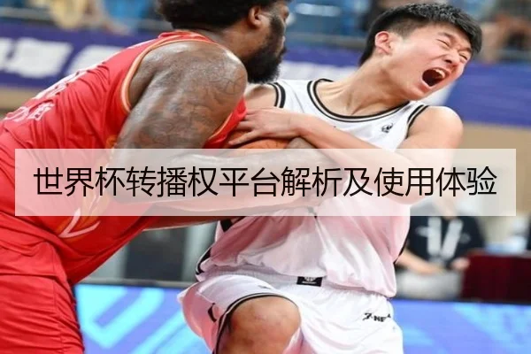 世界杯转播权平台解析及使用体验