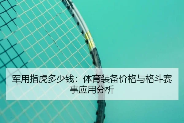 军用指虎多少钱：体育装备价格与格斗赛事应用分析
