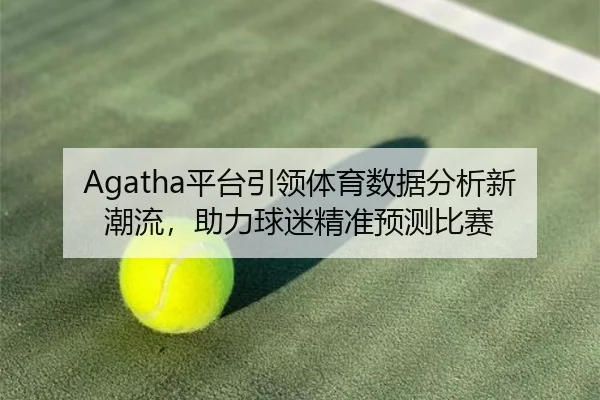 Agatha平台引领体育数据分析新潮流，助力球迷精准预测比赛